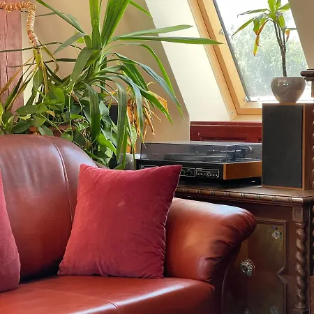 Tamas Sziveben- Egesz Evben Nyitva! Balatonföldvár