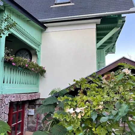 Apartament Tamas Sziveben- Egesz Evben Nyitva! *