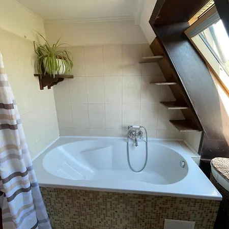 Apartament Tamas Sziveben- Egesz Evben Nyitva! *