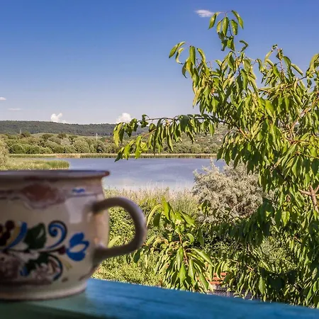 Tamas Sziveben- Egesz Evben Nyitva!