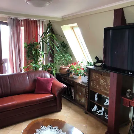 Tamas Sziveben- Egesz Evben Nyitva!