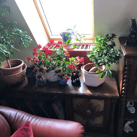 Lägenhet Tamas Sziveben- Egesz Evben Nyitva! Balatonföldvár