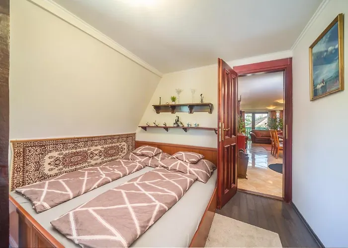 Tamas Sziveben- Egesz Evben Nyitva!