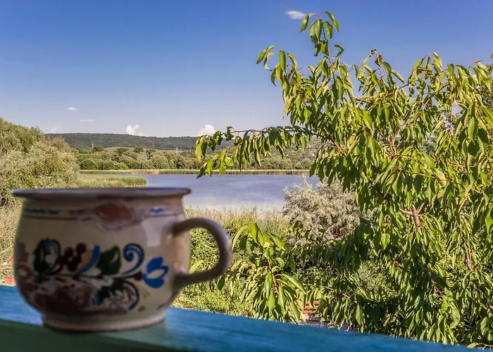 Tamas Sziveben- Egesz Evben Nyitva!