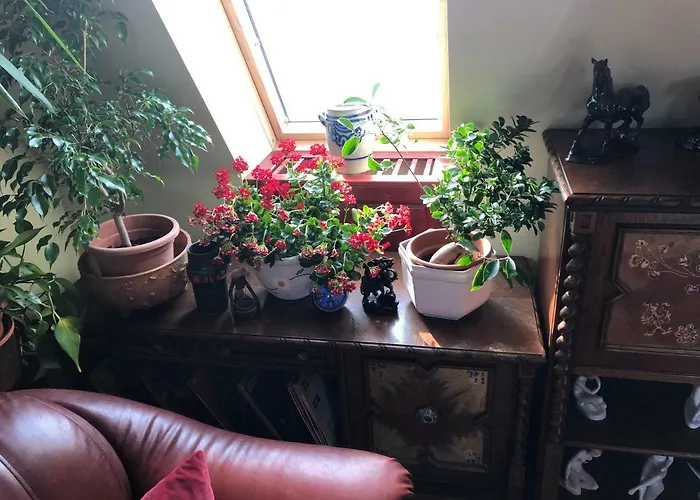 Apartamento Tamás Szívében- Egész évben Nyitva! Balatonföldvár